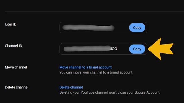 bước 2: copy mã id từ dán vào ô code trong game