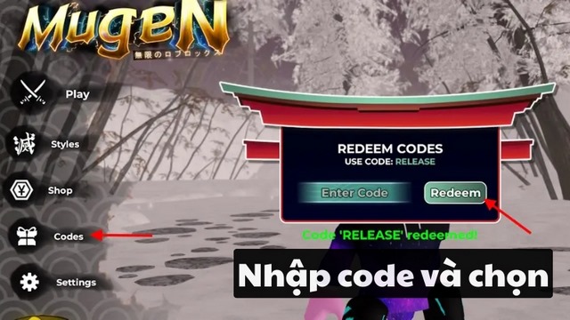 cách nhập code
